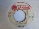 JUNIOR BYLES Remember Me JA MAN  Roots Reggae 7