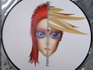 DAVID BOWIE REBEL NEVER GETS OLD 12 INCH PICTURE DISC NEVER PLAYED