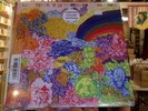 Lightning Bolt Wonderful Rainbow LP sealed rainbow splatter color vinyl reissue