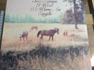 Bill Callahan - Sometimes I Wish We Were An Eagle - Vinyl (LP) Used