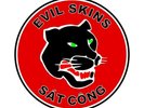 Evil Skins ?– Docteur Skinhead-Réédition-Vinyle vert ou bleu
