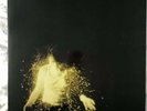 Wolf Alice My Love Is Cool Gold Vinyl 2 LP Gatefold Limited Edition