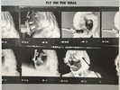 The Beatles Let It Be Naked 2003 Apple Misprint 1st Press 7