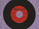 The Torquay's Pineapple Moon While I'm Away Holly 45 Record Garage Doo Wop MINT-