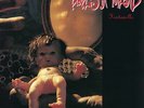 Babes in Toyland Fontanelle (180 Gram Vinyl) LP Minneapolis Punk