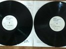 Rich Robinson Through a Crooked Sun Test Pressing 2LP Record Vinyl Black Crowes