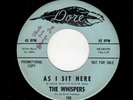 DOOWOP/SOUL HARMONY-WHISPERS-AS I SIT HERE/SHAKE IT, SHAKE IT-DORE 740
