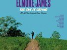 ELMORE JAMES New Sealed 2019 THE SKY IS CRYING 180 GRAM VINYL RECORD