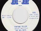 DEL-RAYS Fortune Teller / Dimples RARE *orig* 45 northern soul r&b garage HEAR