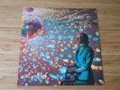 ROCKET FROM THE CRYPT - 