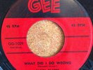 Doo Wop 45 CAROL BLADES & The HARPTONES “What Did i Do Wrong/ When Will I Know”