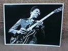tolles Original Autogramm - Autograph von BB. King - Pressefoto