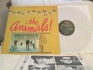 ANIMALS ANIMAL TRACKS 1965 ORIG RAW BRIT-BLUES-PSYCH STEREO MGM NM DISC