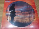 Richard Hawley Further Limited Ed Picture Disc Vinyl LP New+MuzkShack Download