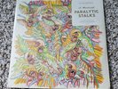 Of Montreal lot, vinyl LP, cassette, 7 inch 45, Paralytic Stalks, Polyvinyl