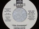 RAP HIP-HOP Chubb Rock THE GRAMMYS Rarer 45 RPM Select Records Howie Tee