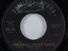 Garage Psych 45 MUSIC MACHINE Spider Never Hunts The Fly ORIGINAL SOUND VG+ HEAR