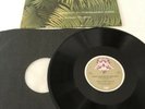 Edgar Froese - Epsilon In Malaysian Pale - RARE Vinyl LP, UK 1975, Virgin - TOP