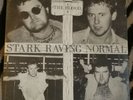 THE BLOOD STARK RAVING NORMAL 7