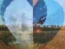 LP NEIL YOUNG DREAMIN´MAN LIVE 92 HARVEST MOON VINYL EU