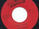 Transitional Sweet Soul - ROYAL JESTERS - I Know, I Know - Clown