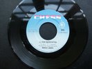 DENISE LaSALLE A LOVE REPUTATION 1967 FUNK SOUL 7