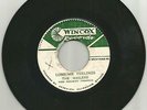 WAILERS THE MIGHTY VIKINGS / LONSOME FEELINGS / THERE SHE GOES / 7''/ VG+