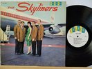 The SKYLINERS same Calico CLP 3000 strong VG  Degritter