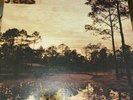 Silver Jews - Starlite Walker - Original LP - Pavement  / Purple Mountains
