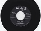 Rare Chicano Jump Blues R&B 45 MAD MEL SEBASTIAN 