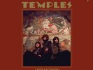 TEMPLES HOT MOTION NEW SEALED COLOURED VINYL 2LP IN STOCK