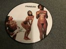 Dwarves pic disc  sub pop mudhoney nirvana