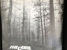 THE CURE A Forest UK 12