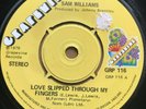 Northern Soul 45 Sam Williams-Love Slipped Through My Fingers-UK Grapevine