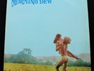 MORNING DEW German Roulette 1971 1st pressing Superb *MINT-* US Psych LP