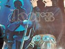 The Doors - Absolutely Live (2xLP, Album, RE) Vinyl Schallplatte - 145291