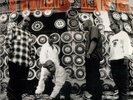 Thug Life - Cradle To The Grave / VG+ / 12