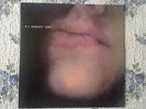 P.J. HARVEY  LP DRY
