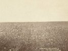 THE MILK CARTON KIDS - THE ASH & CLAY +CD  VINYL LP+CD NEW+