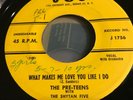 The Pre-Teens What Makes Me Love You Like I Do 45 VG++ J&S 1756 Rare Doo Wop