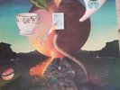 Pink Moon  Nick Drake Vinyl Record Aussie pressing