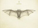 He Is Legend - White Bat [New Vinyl LP] Explicit