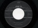 DOOWOP-DANDLEERS (DANLEERS)-ONE SUMMER NIGHT/WHEELIN' AND DEALIN'-AMP 3 2115