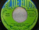 Raw Meat - Stand-By Girl 45 1969 Original on Blue Hour record label