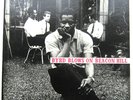 DONALD BYRD / BYRD BLOWS ON BEACON HILL [ TRANSITION] JAPANESE issue
