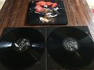 Bjork BIOPHILLA 2x VINYL LP  One Little Indian 2011