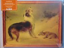 Explosions In The Sky - The Rescue (Limited Edition Opaque Dusty Orange Vinyl)