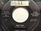 Rockabilly 45 Sammy Salvo Wolf Boy RCA Victor Lbl.