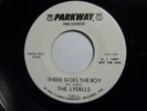 Lydells - There Goes The Boy  M-  1964   PROMO  VERY RARE