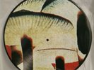 Leatherface - Mush LP Picture Vinyl punk